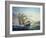 Clipper Ship Surprise-Nicky Boehme-Framed Giclee Print