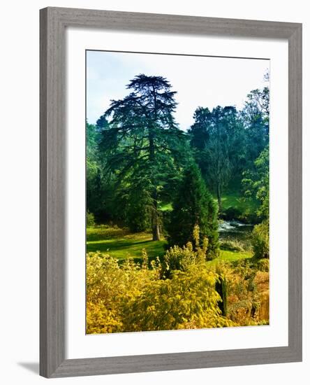 Clisson - Loire-Atlantique - Pays de la Loire - France-Philippe Hugonnard-Framed Photographic Print