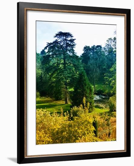 Clisson - Loire-Atlantique - Pays de la Loire - France-Philippe Hugonnard-Framed Photographic Print