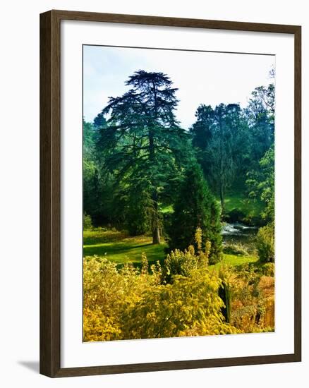 Clisson - Loire-Atlantique - Pays de la Loire - France-Philippe Hugonnard-Framed Photographic Print