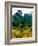 Clisson - Loire-Atlantique - Pays de la Loire - France-Philippe Hugonnard-Framed Photographic Print