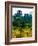 Clisson - Loire-Atlantique - Pays de la Loire - France-Philippe Hugonnard-Framed Photographic Print