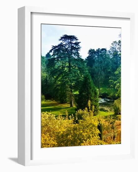 Clisson - Loire-Atlantique - Pays de la Loire - France-Philippe Hugonnard-Framed Photographic Print