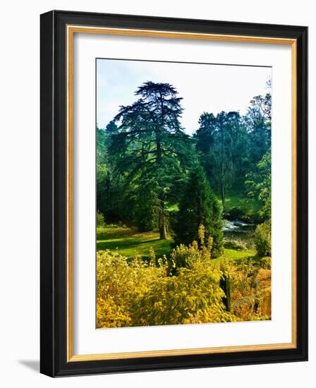 Clisson - Loire-Atlantique - Pays de la Loire - France-Philippe Hugonnard-Framed Photographic Print