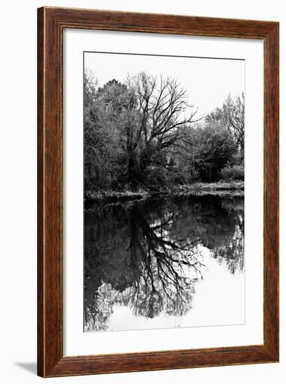 Clisson - Loire-Atlantique - Pays de la Loire - France-Philippe Hugonnard-Framed Photographic Print