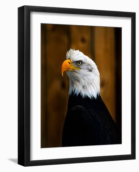 Photo, , large