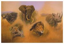 Lion Familly-Clive Kay-Framed Art Print