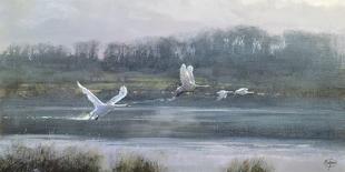 Morning Flight-Clive Madgwick-Giclee Print