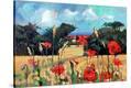 Stretched Canvas Print