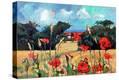 Stretched Canvas Print