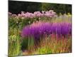 Premium Photographic Print