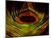 Premium Photographic Print