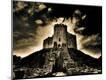 Photographic Print