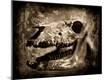 Premium Photographic Print