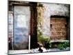 Photographic Print