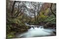Premium Photographic Print