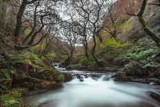 Stream Flowing Through Woodland in England-Clive Nolan-Photographic Print