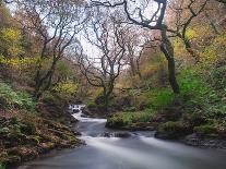 Stream Flowing Through Woodland in England-Clive Nolan-Photographic Print