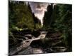 Photographic Print