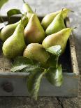 Pears in a Drawer-Clive Streeter-Photographic Print