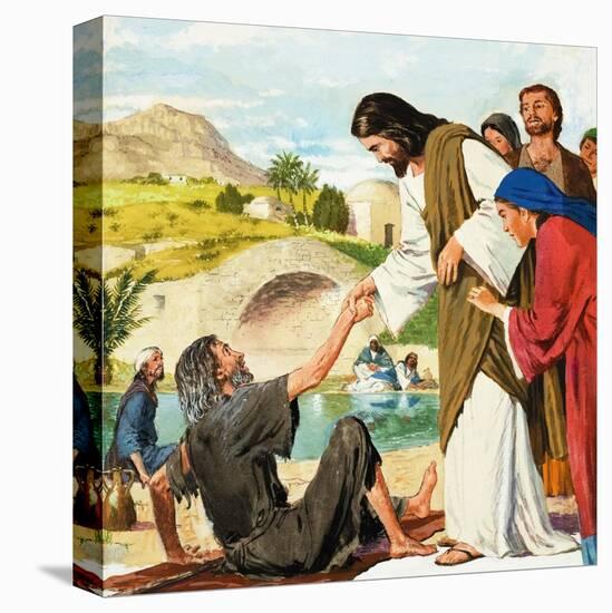 Stretched Canvas Print, , large
