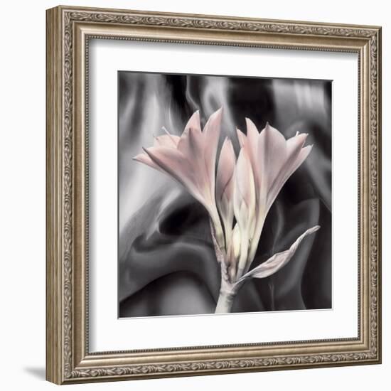 Clivia Pastel-Scott Peck-Framed Art Print