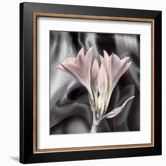 Clivia Pastel-Scott Peck-Framed Art Print