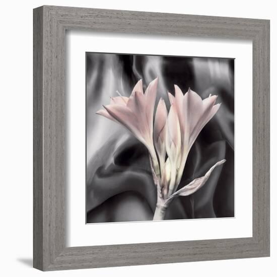 Clivia Pastel-Scott Peck-Framed Art Print