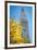 Clock tower, Madison Square park, New York City, NY, USA-Julien McRoberts-Framed Premium Photographic Print