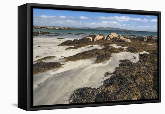 Cloghcor, Arranmore Island, County Donegal, Ulster, Republic of Ireland, Europe-Carsten Krieger-Framed Premier Image Canvas