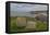 Cloghcor, Arranmore Island, County Donegal, Ulster, Republic of Ireland, Europe-Carsten Krieger-Framed Premier Image Canvas