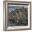 Cloghcor, Arranmore Island, County Donegal, Ulster, Republic of Ireland, Europe-Carsten Krieger-Framed Photographic Print