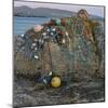 Cloghcor, Arranmore Island, County Donegal, Ulster, Republic of Ireland, Europe-Carsten Krieger-Mounted Photographic Print