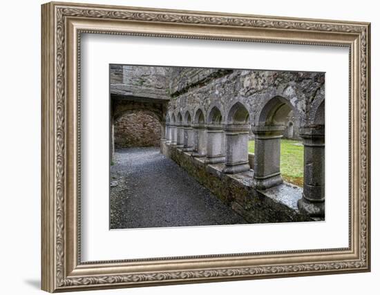 Cloister at Ross Friary in Ireland.-Betty Sederquist-Framed Photographic Print