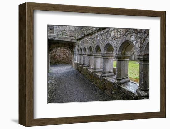 Cloister at Ross Friary in Ireland.-Betty Sederquist-Framed Photographic Print