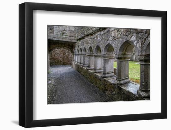 Cloister at Ross Friary in Ireland.-Betty Sederquist-Framed Photographic Print