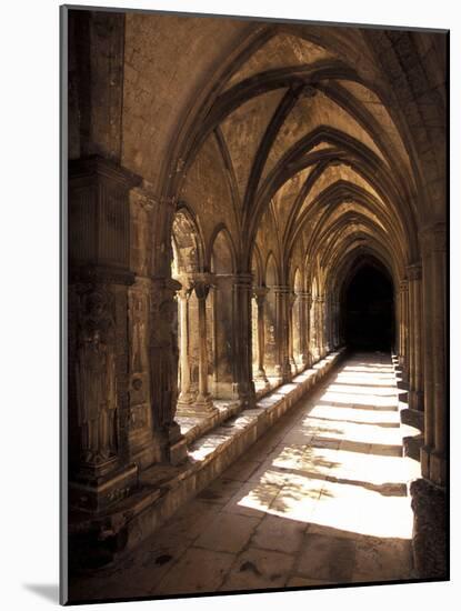 Cloister Detail, Arles, Cloitre St-Trophime, Bouches-Du-Rhone, Provence, France-Walter Bibikow-Mounted Photographic Print