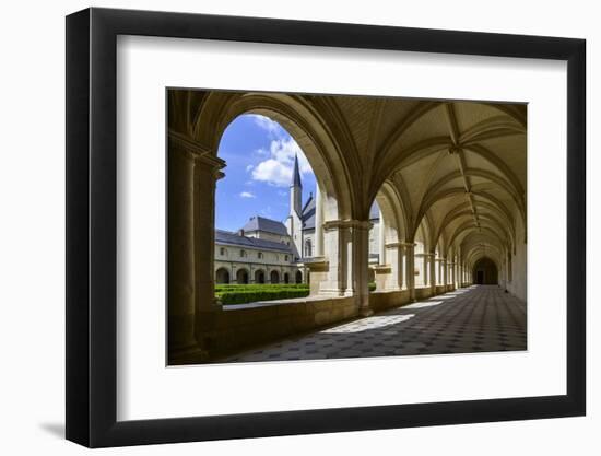 Cloister of Abbey of Fontevraud (Fontevraud L'Abbaye), Dated 12th to 17th Centuries-Nathalie Cuvelier-Framed Photographic Print