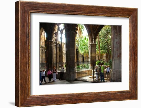 Cloister of Catedral La Seu in the Barri Gotic, Barcelona, Catalonia, Spain-null-Framed Art Print