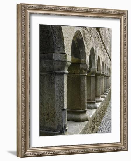 Cloister, Ross Errilly Franciscan Friary, Near Headford, County Galway, Connacht, Ireland-Gary Cook-Framed Photographic Print