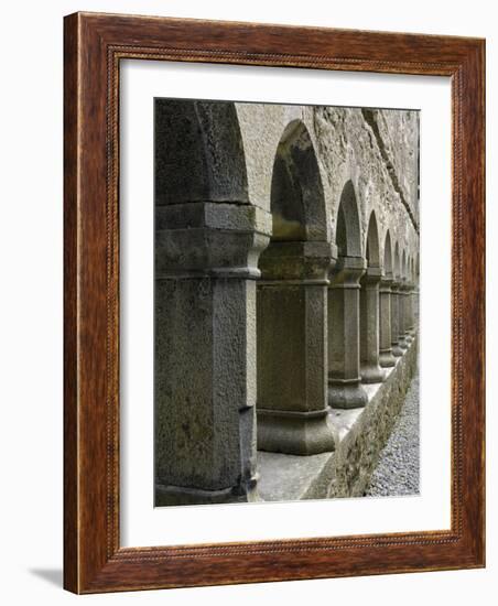 Cloister, Ross Errilly Franciscan Friary, Near Headford, County Galway, Connacht, Ireland-Gary Cook-Framed Photographic Print