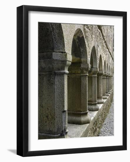 Cloister, Ross Errilly Franciscan Friary, Near Headford, County Galway, Connacht, Ireland-Gary Cook-Framed Photographic Print