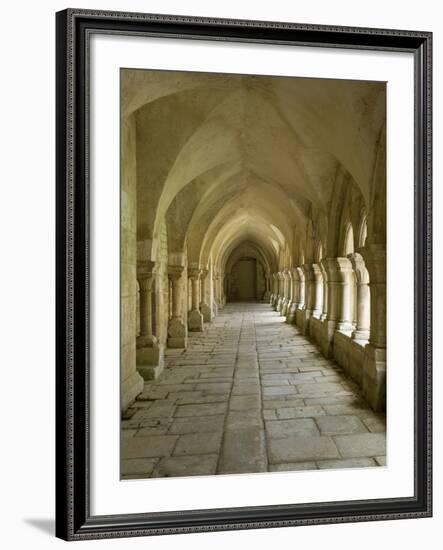 Cloisters, Fontenay Abbey, UNESCO World Heritage Site, Burgundy, France, Europe-Rolf Richardson-Framed Photographic Print