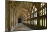 Cloisters, Gloucester Cathedral, Gloucestershire-Peter Thompson-Mounted Photographic Print