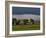 Clonmacnoise, County Offaly, Leinster, Republic of Ireland, Europe-Carsten Krieger-Framed Photographic Print