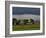 Clonmacnoise, County Offaly, Leinster, Republic of Ireland, Europe-Carsten Krieger-Framed Photographic Print