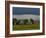 Clonmacnoise, County Offaly, Leinster, Republic of Ireland, Europe-Carsten Krieger-Framed Photographic Print