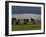 Clonmacnoise, County Offaly, Leinster, Republic of Ireland, Europe-Carsten Krieger-Framed Photographic Print