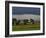 Clonmacnoise, County Offaly, Leinster, Republic of Ireland, Europe-Carsten Krieger-Framed Photographic Print
