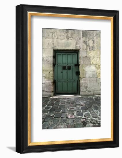 Cloony Green-Tracey Telik-Framed Photographic Print